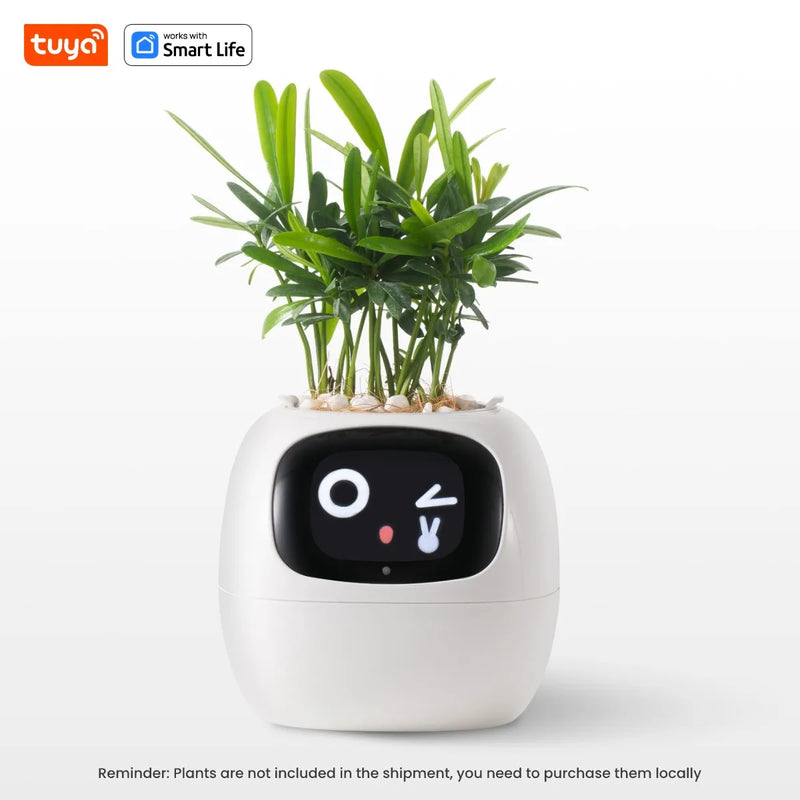Vaso de plantas interativo - Florento