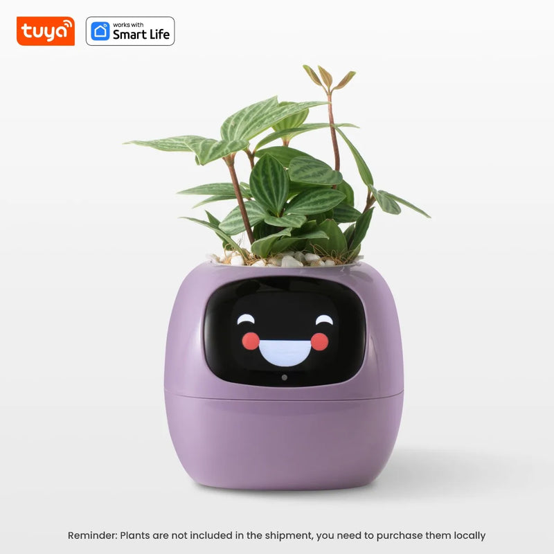 Vaso de plantas interativo - Florento