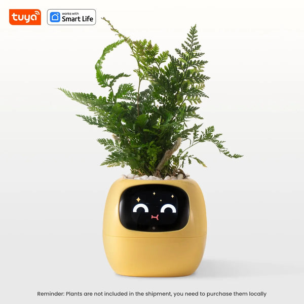 Vaso de plantas interativo - Florento